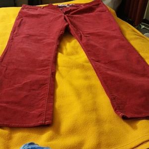 Red corduroy pants